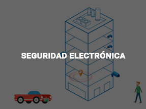 Seguridad electrónica